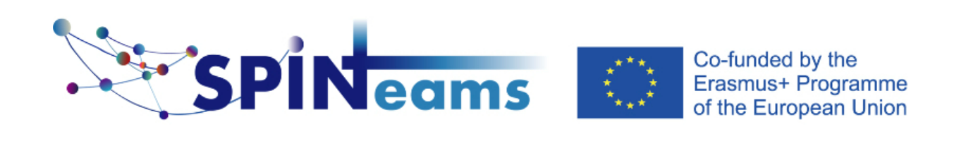 Spinteams logo