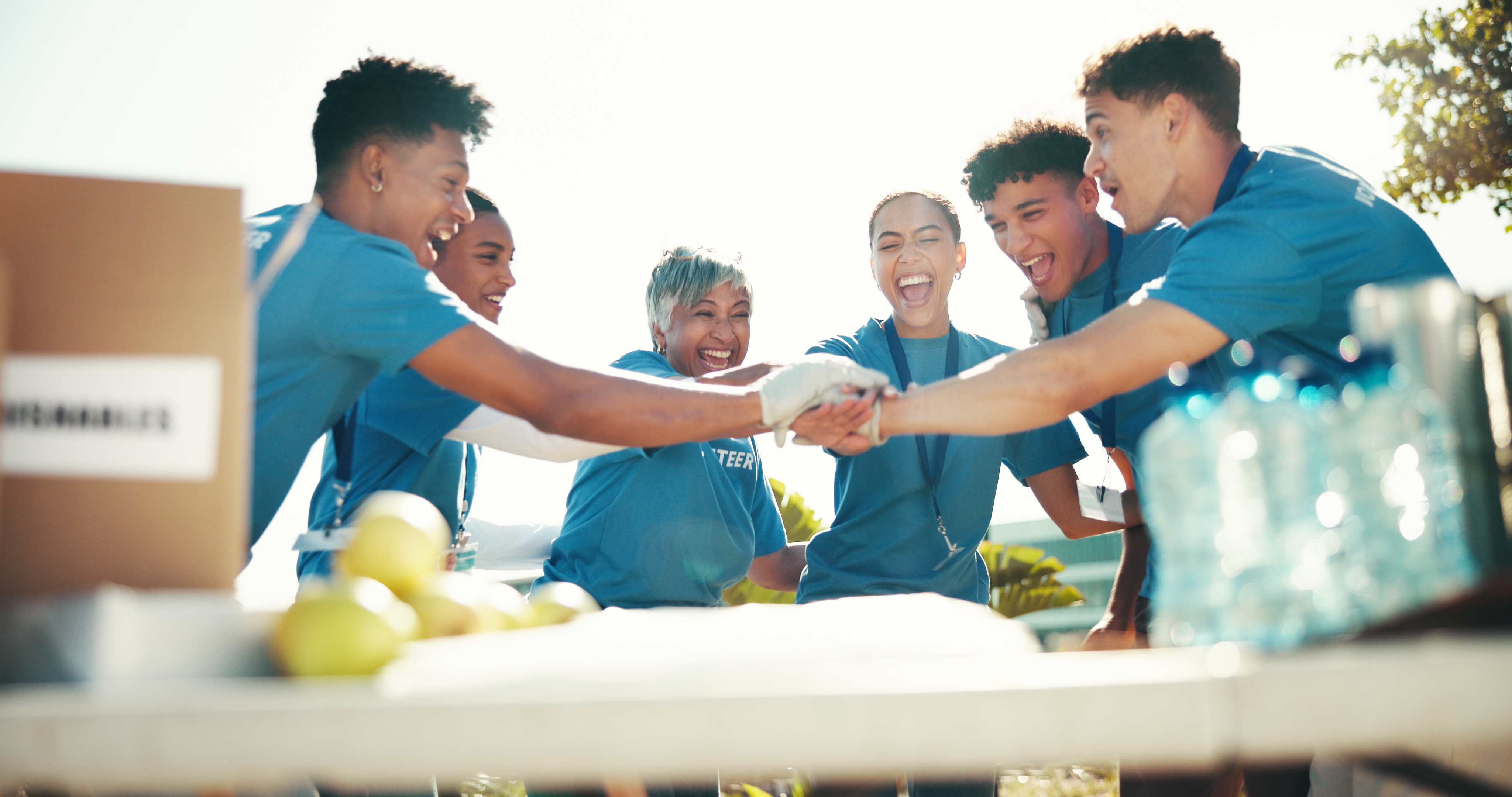 Programa de voluntariado Programa de voluntariado